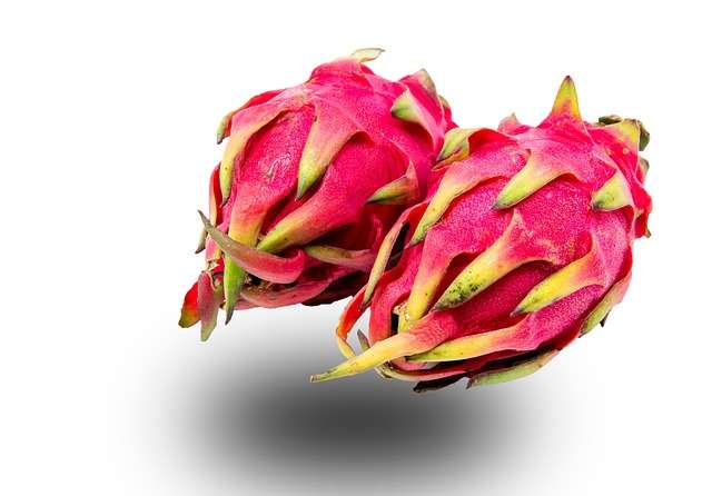 why is it called dragon fruit?