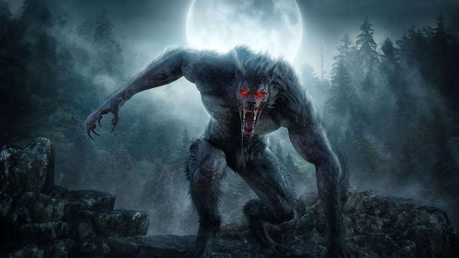 How long do werewolves live